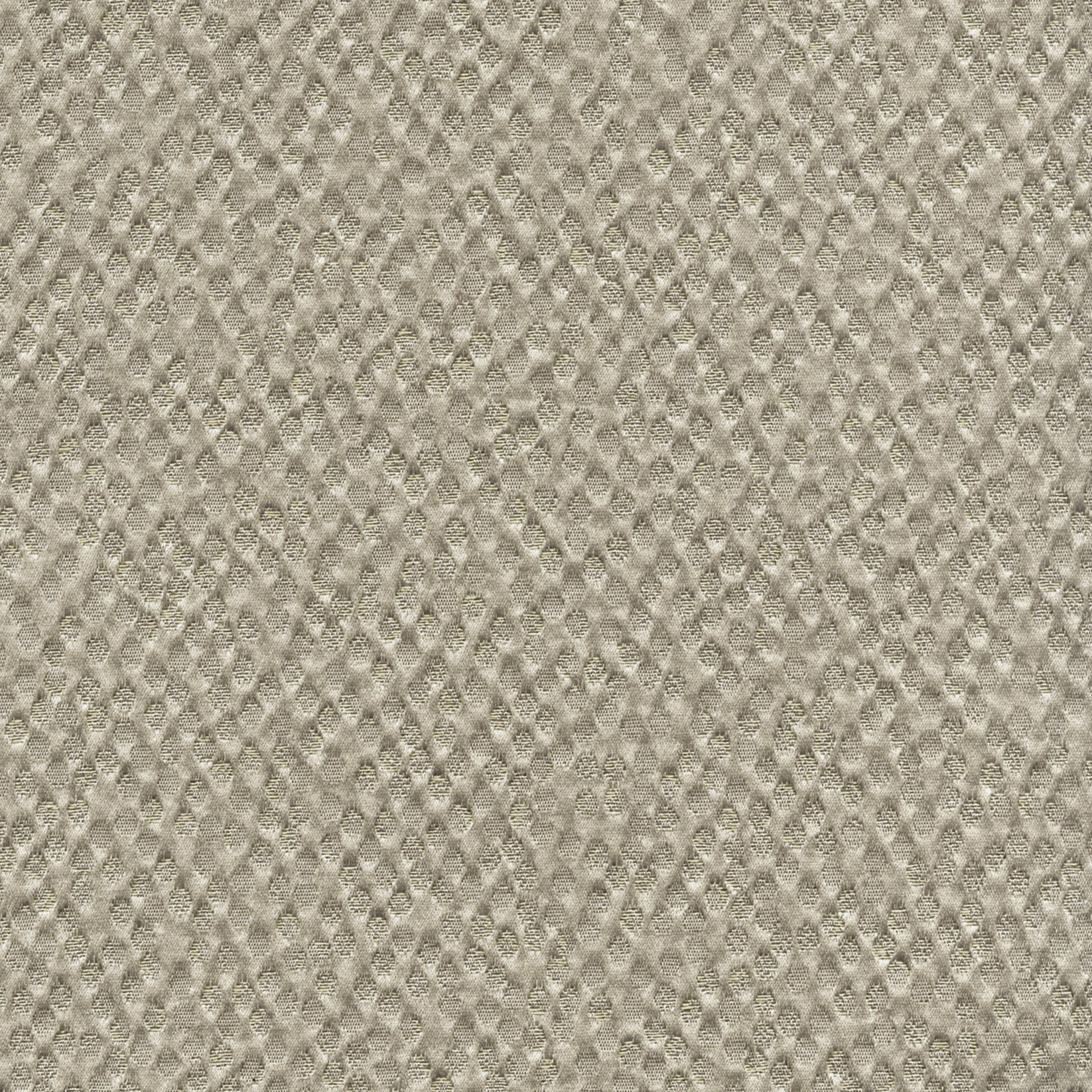 NUITS BLANCHES BELUGA Un destin exceptionnel TV561/05