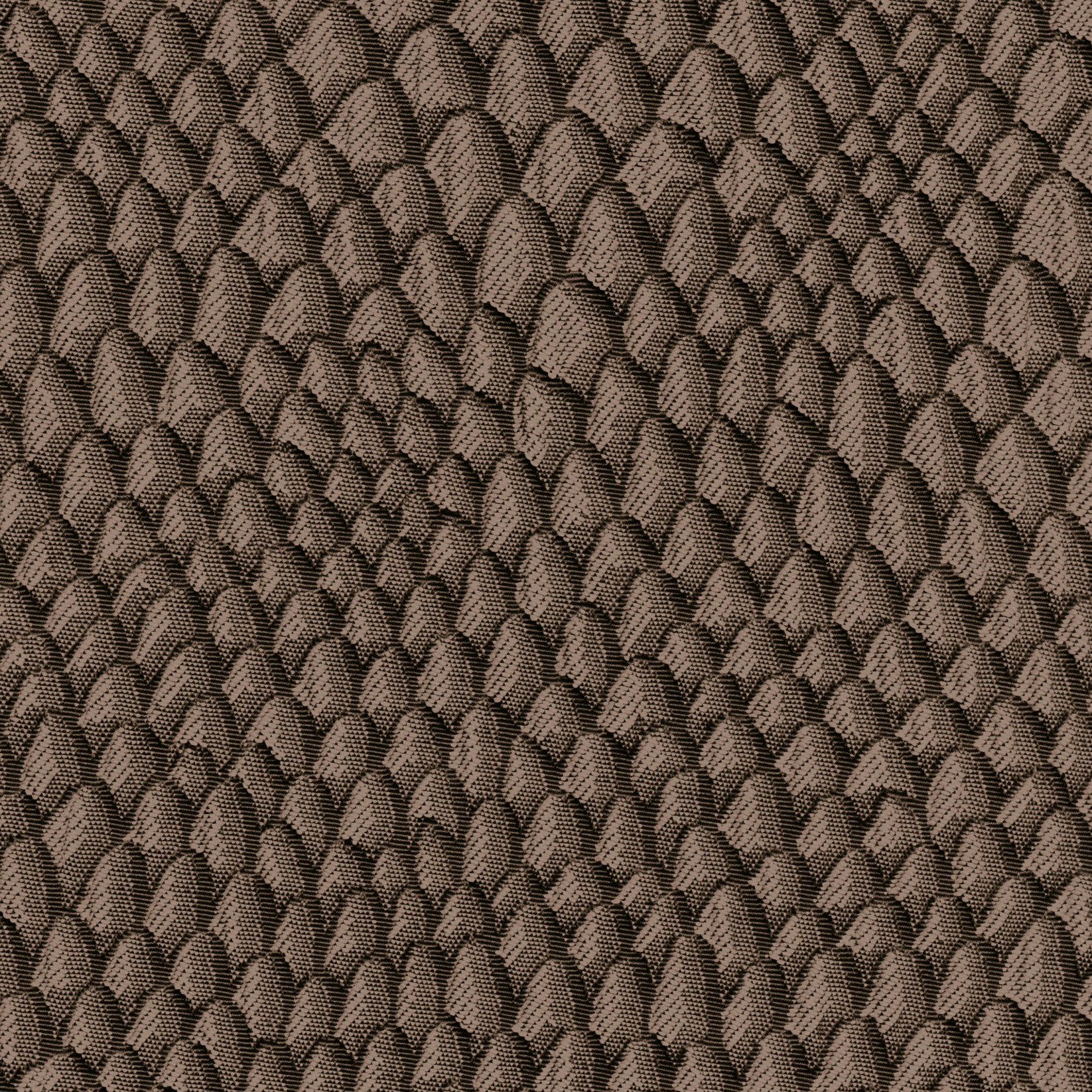 NUITS BLANCHES BOREAL En quête d'une proie TV559/95