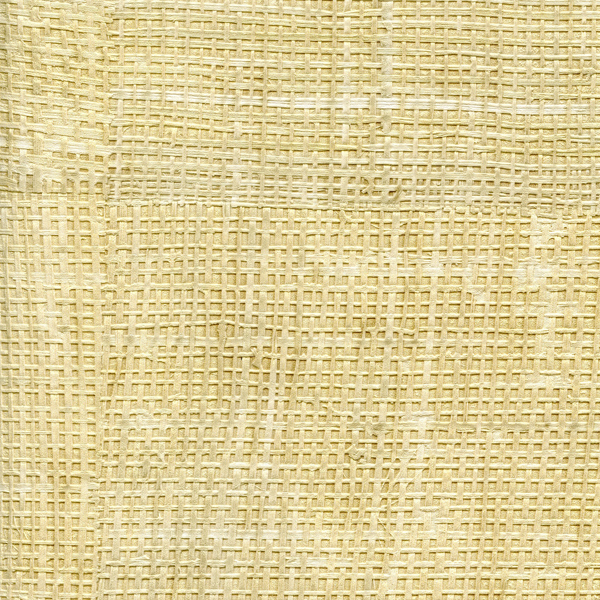 R&M - RAFFIA Jeunesse éternelle VP601/90