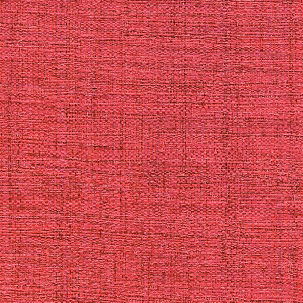 R&M - MADAGASCAR Le choix de l'audace VP631/47