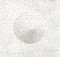 Asian cookies VP641/01