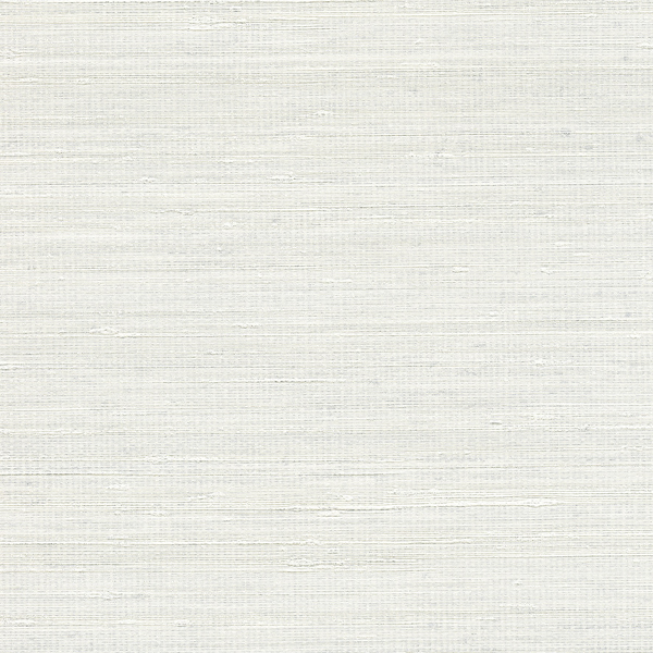 Panama Musa VP710/01