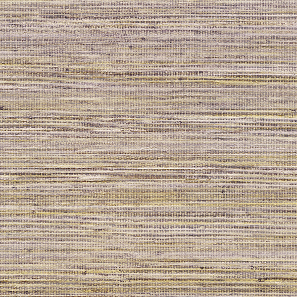 Panama Musa VP710/10