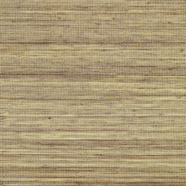 Panama Musa VP710/12