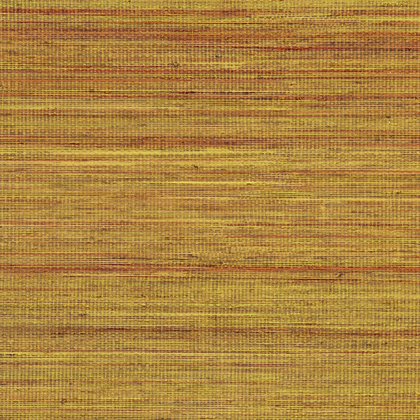 Panama Musa VP710/13