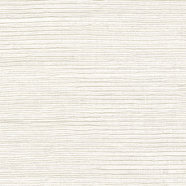 Panama Dandy VP711/01